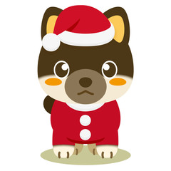 いぬっこ倶楽部 クリスマス 柴犬（黒）