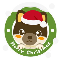いぬっこ倶楽部 クリスマス 柴犬（黒）