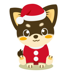 いぬっこ倶楽部 クリスマス チワワ（黒）