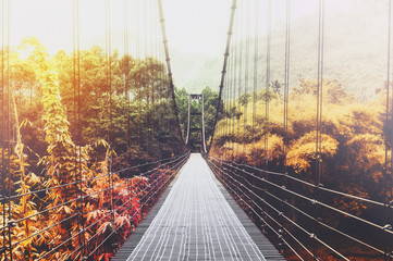 Beautiful season change forest and sunlight, with steel suspension bridge at foggy day in the morning, vintage tone
