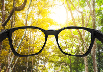 Glasses with forest and beautiful bright sunlight