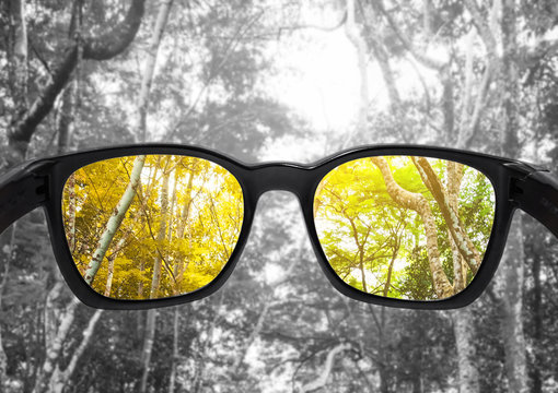 Glasses with forest, selected focus on lens,  colour blindness glasses