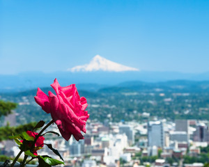 The Rose City: Portland, Oregon © GeorgeD