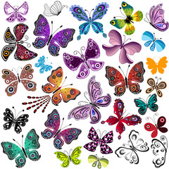 Big collection silhouette colorful butterflies