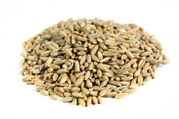 Organic rye grains isolated on white