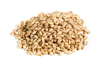 Organic barley grains  isolated on white