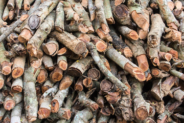 firewood background