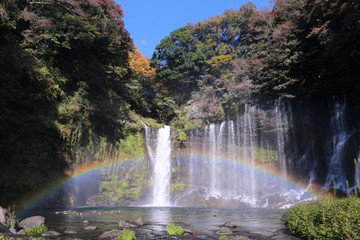 富士宮市　白糸の滝