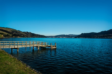Fototapeta premium Boardwalk Over The Lake