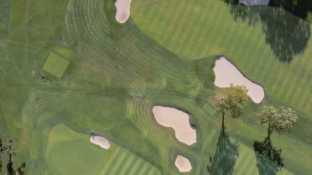 Aerial top view above Golf Course with trees