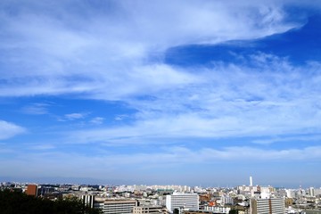 Fototapeta na wymiar 秋雲と東京の街並み