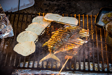 Grilled fish and tortillas - Puerto Vallarta, Jalisco, Mexico