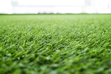 green grass background, artificial grass on soccer field