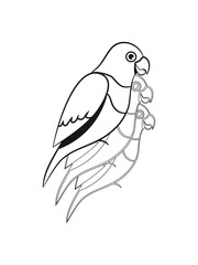 Parrot design