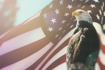 Fototapeten Amerikanischer Weißkopfseeadler-Flaggen-Patriotismus. Weißkopfseeadler, Symbol der amerikanischen Freiheit, thront vor einer amerikanischen Flagge. Patriotische Symbole der Vereinigten Staaten von Amerika. © Atomazul