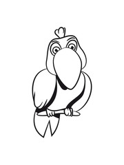 Parrot witty comic