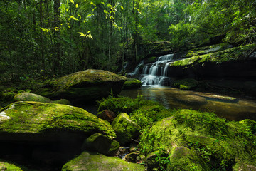 Waterfall in rainforest at National Park, Thailand