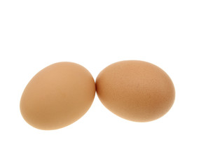 chicken egg isolated on white