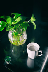 detail shot of office desk and plant.
