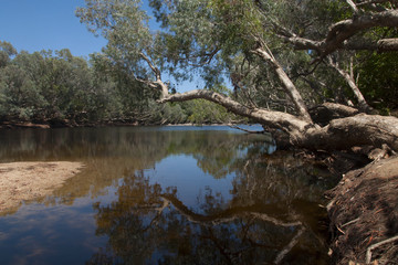 Australian river