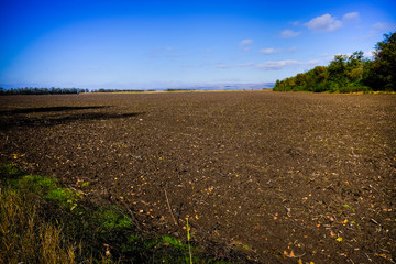 Agrofields