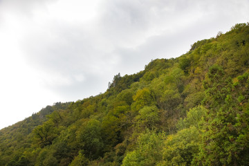 Fototapeta na wymiar Abkhazia Nature