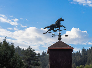 Horse weathervane on the ranch - obrazy, fototapety, plakaty