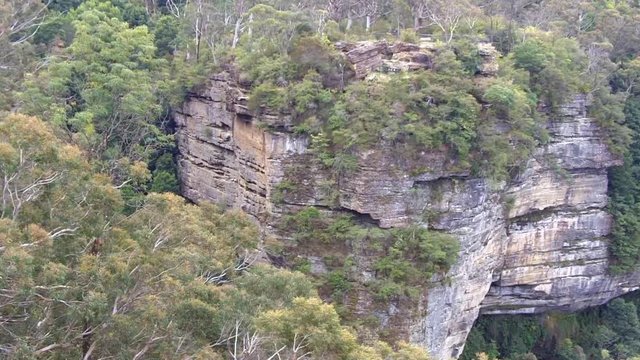 Aerial view of cliffs tree canopy of rain forest at Jamison Valley at the Blue Mountains in New South Wales, Australia.