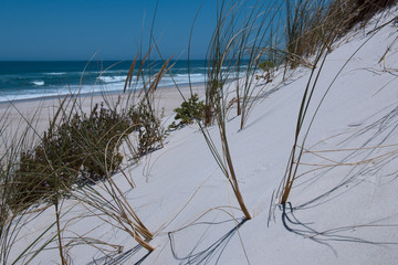 Yeagarup Beach, Western Australia