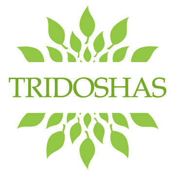 Tridoshas Leaves Green Circular 