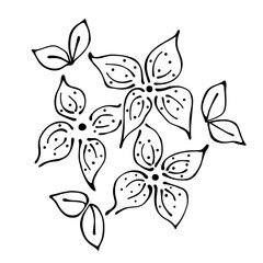 Vector floral illustration.Branch with flowers with leaves isolated on the white background. Hand drawn contour lines and strokes. Graphic vector illustration