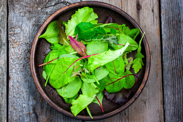 Different types of lettuce