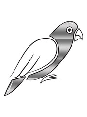 Parrot bird design striped