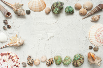 Fototapeta na wymiar Frame of shells and starfishes