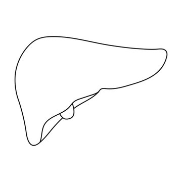 recommend clip art: Liver icon in outline style isolated on white background. Organs symbol stock vector illustration.