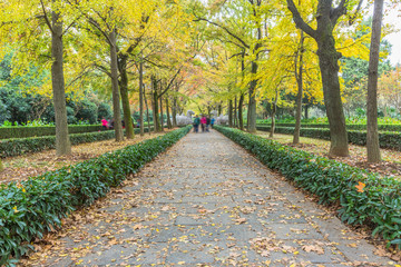 Naklejka premium Footpath By Statues At Ming Xiaoling Mausoleum in China.