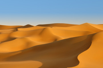 Fototapeta na wymiar desert sand, beautiful sand desert landscape at sunset