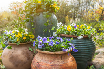 Detail Shot Of plant Over natural Background in Wuxi nianhuawan park.