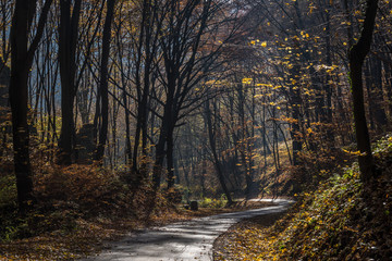 Dolina Będkowska © kabat