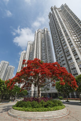High rise residential building in Hong Kong city