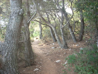 Obraz premium Hvar island view