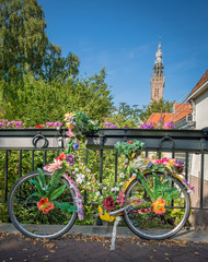 Fototapeta premium Edam