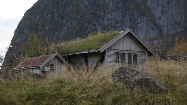 House with grass on the roof. The green roof. Traditional roofs in Norway. Lofoten Islands.  Mountains, rocky peaks. Wind.