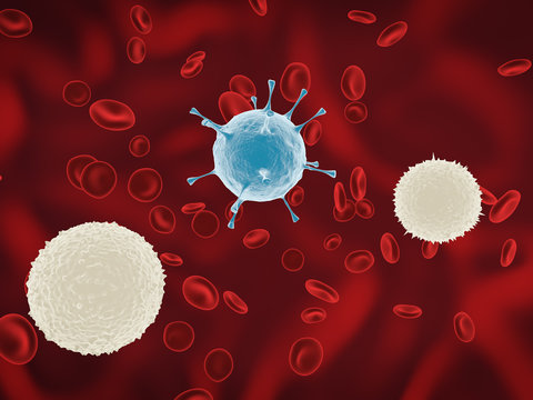 Healthy human red and white bloodcells in close up.