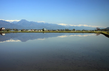 Fototapeta premium 安曇野からの北アルプス