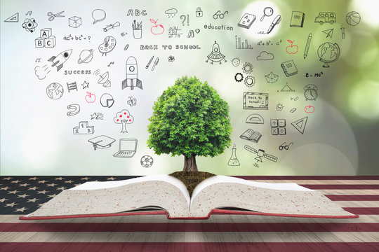 Tree of knowledge/ life growing from big archive open textbook w/ doodle on vintage USA flag pattern on aged wood table, blur natural green background: Read across america day concept - Powered by Adobe
