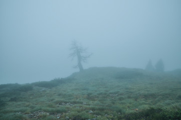 Obraz na płótnie Canvas Berge im Nebel