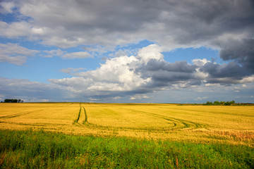 Rural summer landscape in countryside of Poland.