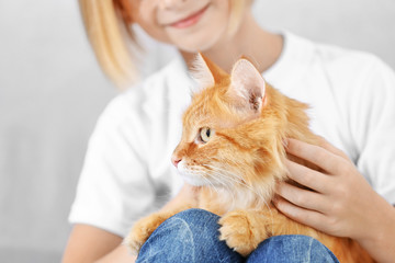 Little girl with red fluffy cat on sofa in room