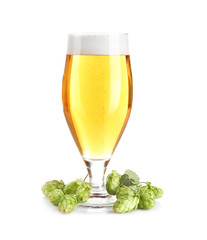 Glass of light beer and hop cones isolated on white